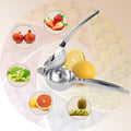 Stainless Steel Juicer